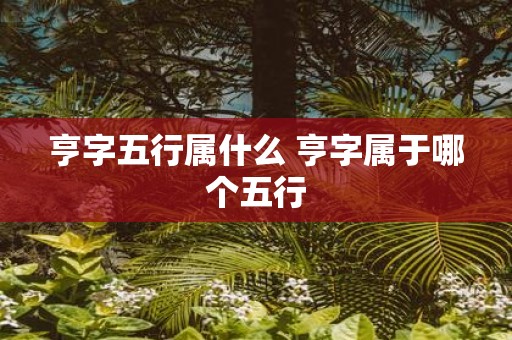 亨字五行属什么 亨字属于哪个五行