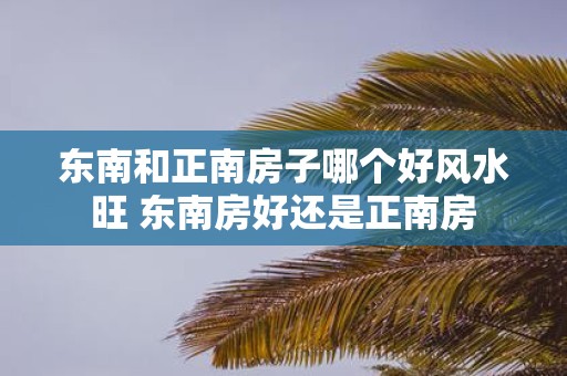 东南和正南房子哪个好风水旺 东南房好还是正南房