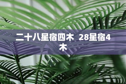 二十八星宿四木 28星宿4木