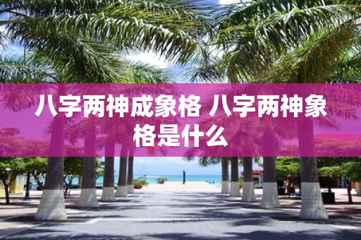 八字两神成象格 八字两神象格是什么