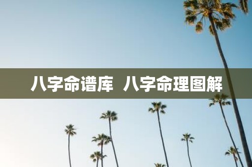 八字命谱库 八字命理图解