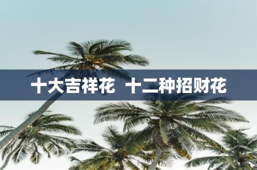 十大吉祥花 十二种招财花