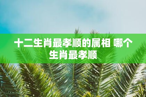 十二生肖最孝顺的属相 哪个生肖最孝顺