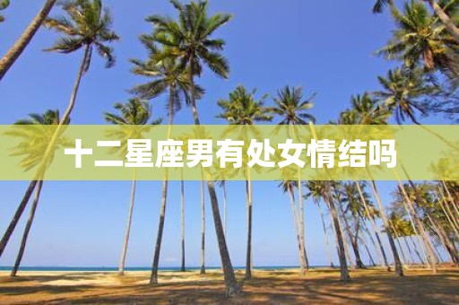 十二星座男有处女情结吗