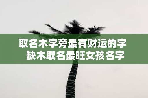 取名木字旁最有财运的字 缺木取名最旺女孩名字
