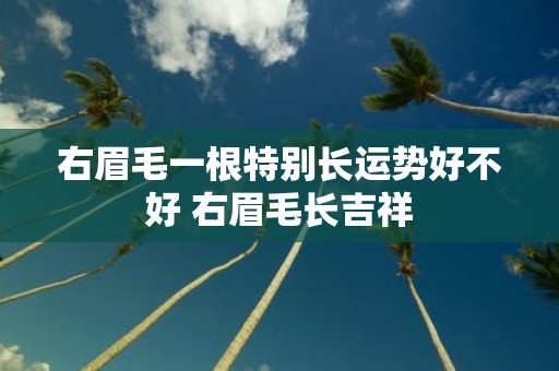 右眉毛一根特别长运势好不好 右眉毛长吉祥