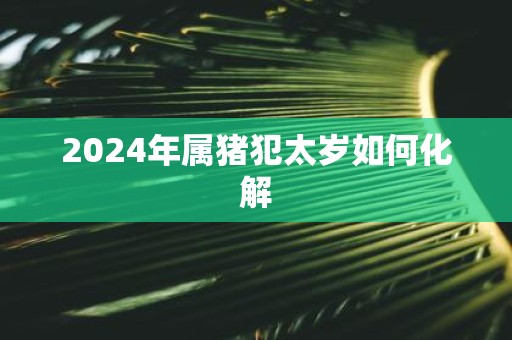 2025年属猪犯太岁如何化解