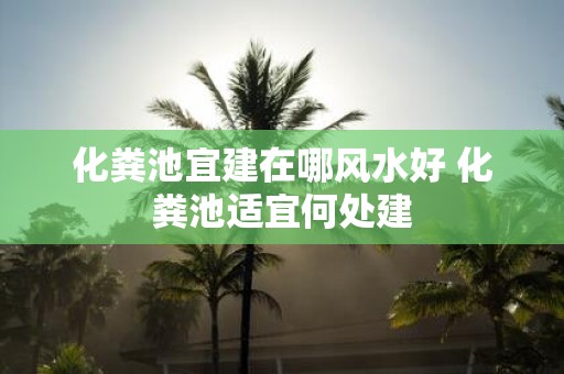 化粪池宜建在哪风水好 化粪池适宜何处建