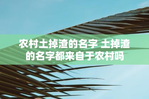 农村土掉渣的名字 土掉渣的名字都来自于农村吗