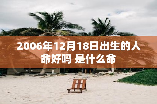 2006年12月18日出生的人命好吗 是什么命