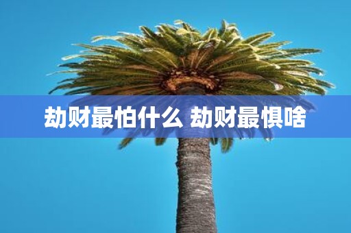 劫财最怕什么 劫财最惧啥