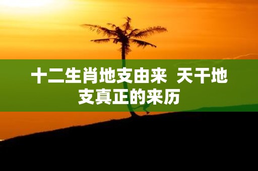 十二生肖地支由来 天干地支真正的来历