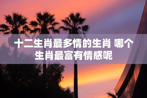 十二生肖最多情的生肖 哪个生肖最富有情感呢