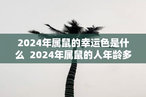 2025年属鼠的幸运色是什么 2025年属鼠的人年龄多大
