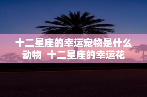 十二星座的幸运宠物是什么动物 十二星座的幸运花