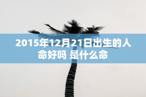 2015年12月21日出生的人命好吗 是什么命
