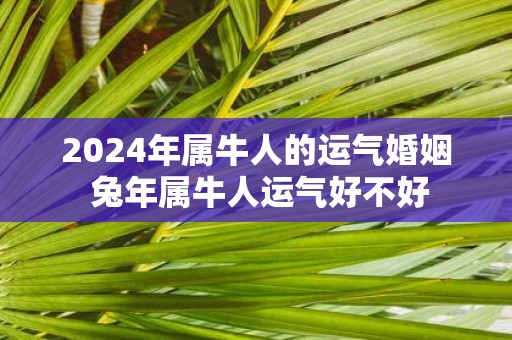 2025年属牛人的运气婚姻 蛇年属牛人运气好不好