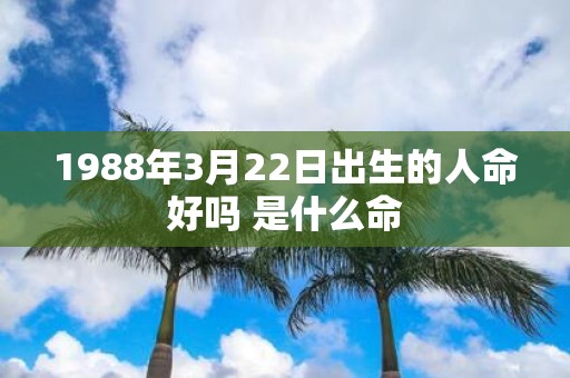 1988年3月22日出生的人命好吗 是什么命