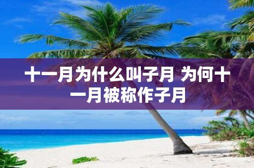 十一月为什么叫子月 为何十一月被称作子月