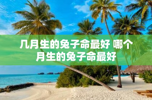 几月生的兔子命最好 哪个月生的兔子命最好