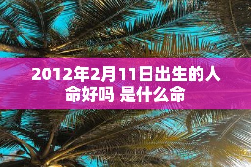 2012年2月11日出生的人命好吗 是什么命
