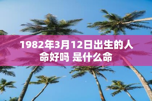 1982年3月12日出生的人命好吗 是什么命
