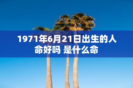1971年6月21日出生的人命好吗 是什么命