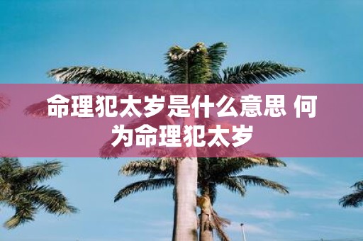 命理犯太岁是什么意思 何为命理犯太岁