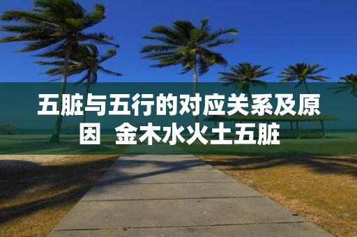 五脏与五行的对应关系及原因 金木水火土五脏