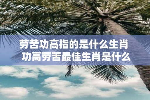 劳苦功高指的是什么生肖 功高劳苦最佳生肖是什么