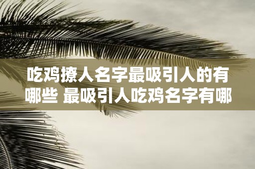 吃鸡撩人名字最吸引人的有哪些 最吸引人吃鸡名字有哪些