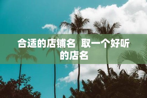 合适的店铺名 取一个好听的店名