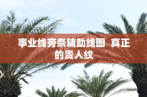 事业线旁条辅助线图 真正的贵人纹