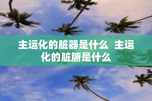 主运化的脏器是什么 主运化的脏腑是什么
