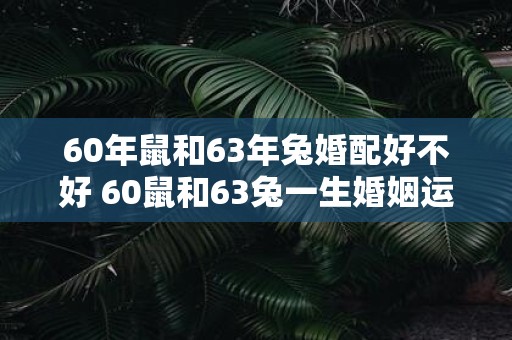 60年鼠和63年兔婚配好不好 60鼠和63兔一生婚姻运势如何