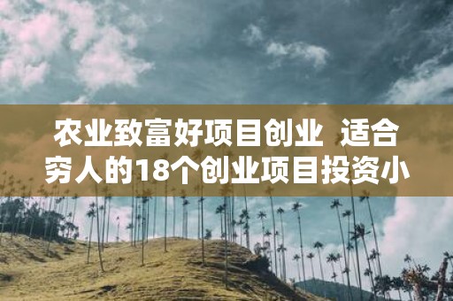 农业致富好项目创业 适合穷人的18个创业项目投资小