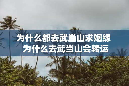 为什么都去武当山求姻缘 为什么去武当山会转运