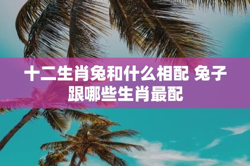 十二生肖兔和什么相配 兔子跟哪些生肖最配