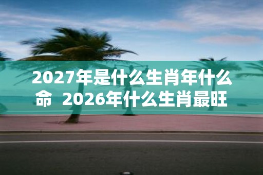2027年是什么生肖年什么命 2026年什么生肖最旺