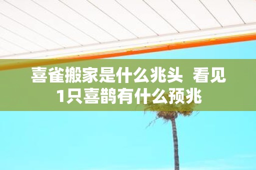 喜雀搬家是什么兆头 看见1只喜鹊有什么预兆