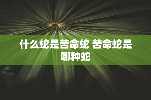 什么蛇是苦命蛇 苦命蛇是哪种蛇