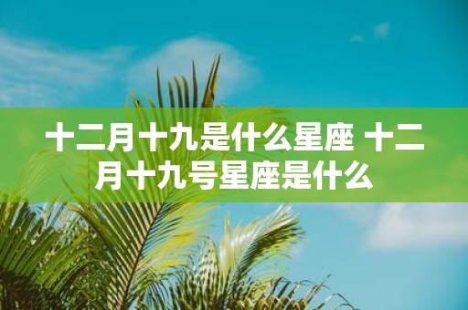 十二月十九是什么星座 十二月十九号星座是什么