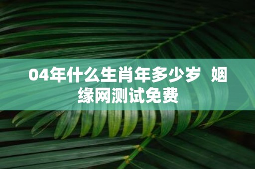 04年什么生肖年多少岁 姻缘网测试免费