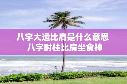 八字大运比肩是什么意思 八字时柱比肩坐食神