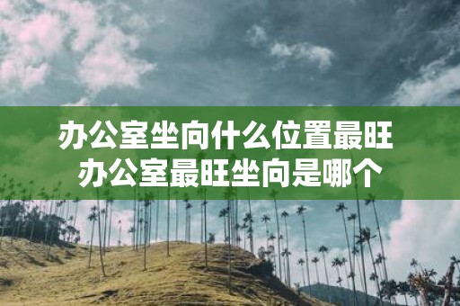 办公室坐向什么位置最旺 办公室最旺坐向是哪个