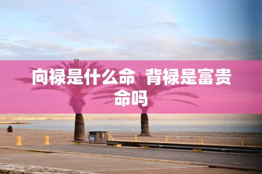 向禄是什么命 背禄是富贵命吗