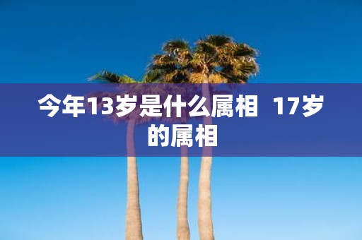 今年13岁是什么属相 17岁的属相
