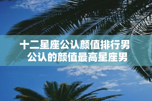 十二星座公认颜值排行男 公认的颜值最高星座男