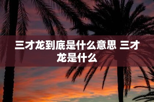 三才龙到底是什么意思 三才龙是什么