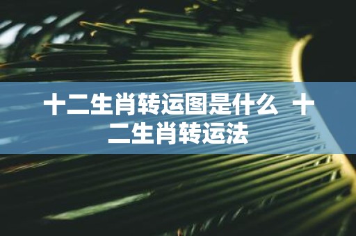 十二生肖转运图是什么 十二生肖转运法